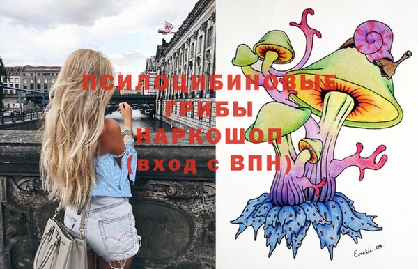 мяу мяу мука Арсеньев
