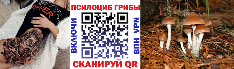 Галлюциногенные грибы прущие грибы  Учалы 
